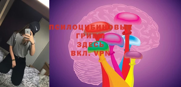 МДПВ Армянск