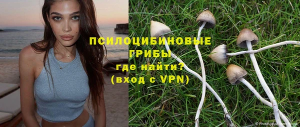 дурь Арсеньев