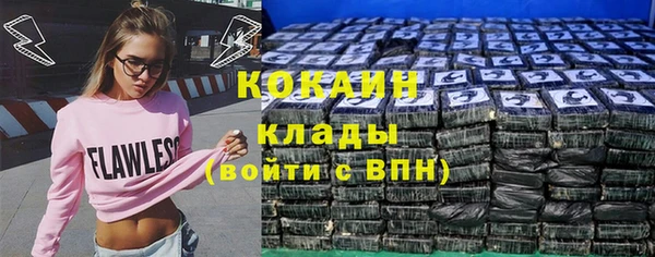 дживик Аркадак