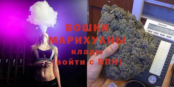 дурь Арсеньев