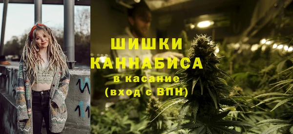 дживик Аркадак