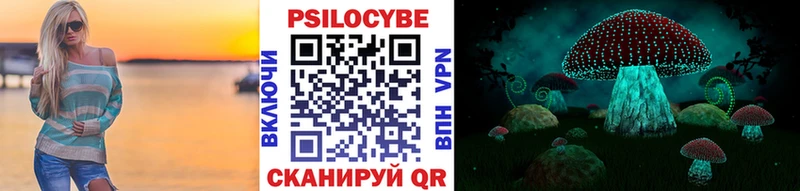 хочу   Борзя  Галлюциногенные грибы Cubensis 